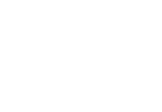 Platinum Group